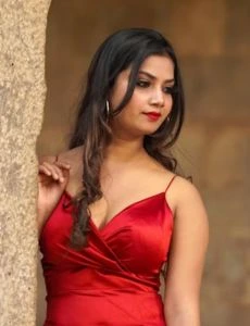 call girl service in Palakhedi